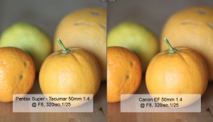 Canon vs. Pentax 50mm Comparison