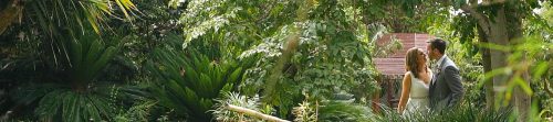 Bride and groom at San Diego botanical gardens wedding video