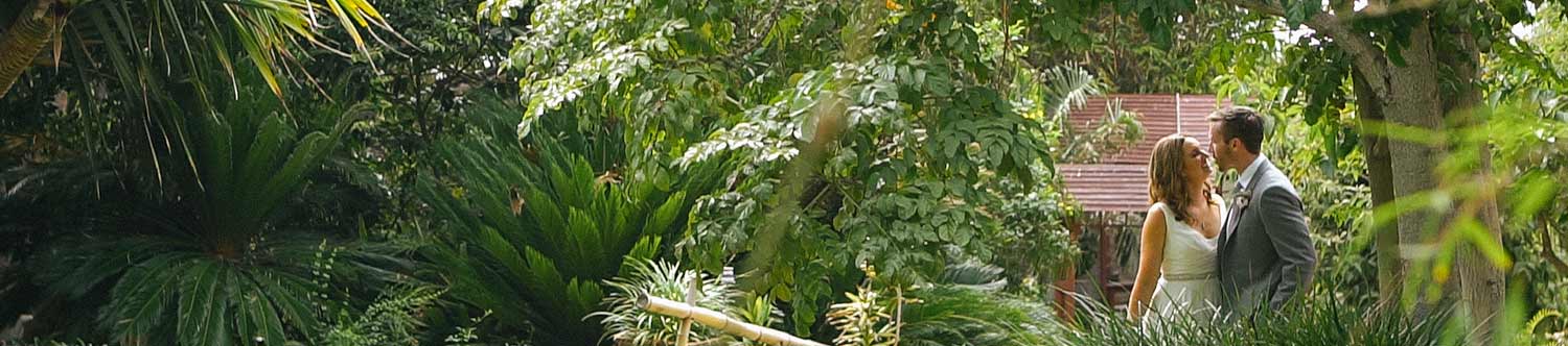 Bride and groom at San Diego botanical gardens wedding video