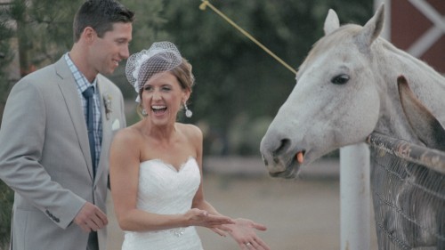 Bride feeding horse