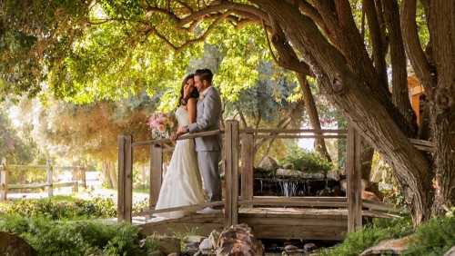 X Lake Oak Meadows wedding