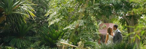 Bride and groom in the bamboo at San Diego Botanical Gardens