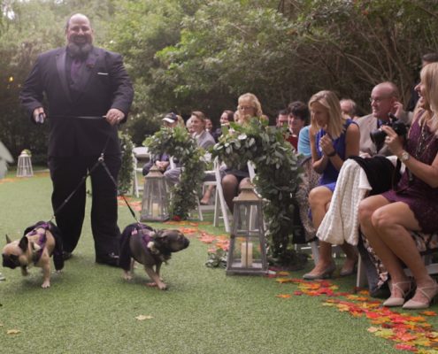 dogs go down the aisle