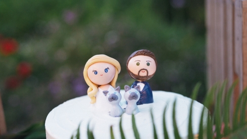 cute bride and groom cake topper 